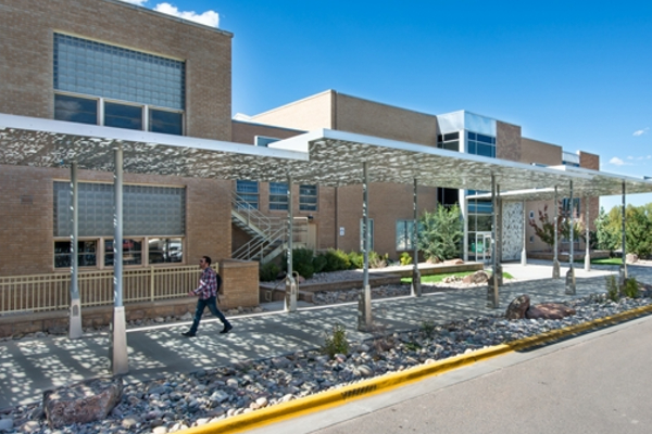 ms and ss conopys stractures